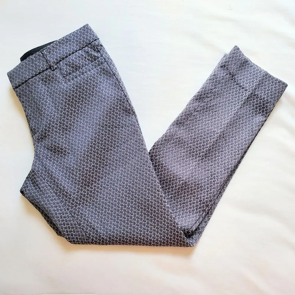 Banana Republic Factory Sloan Fit Pants Size 2P
